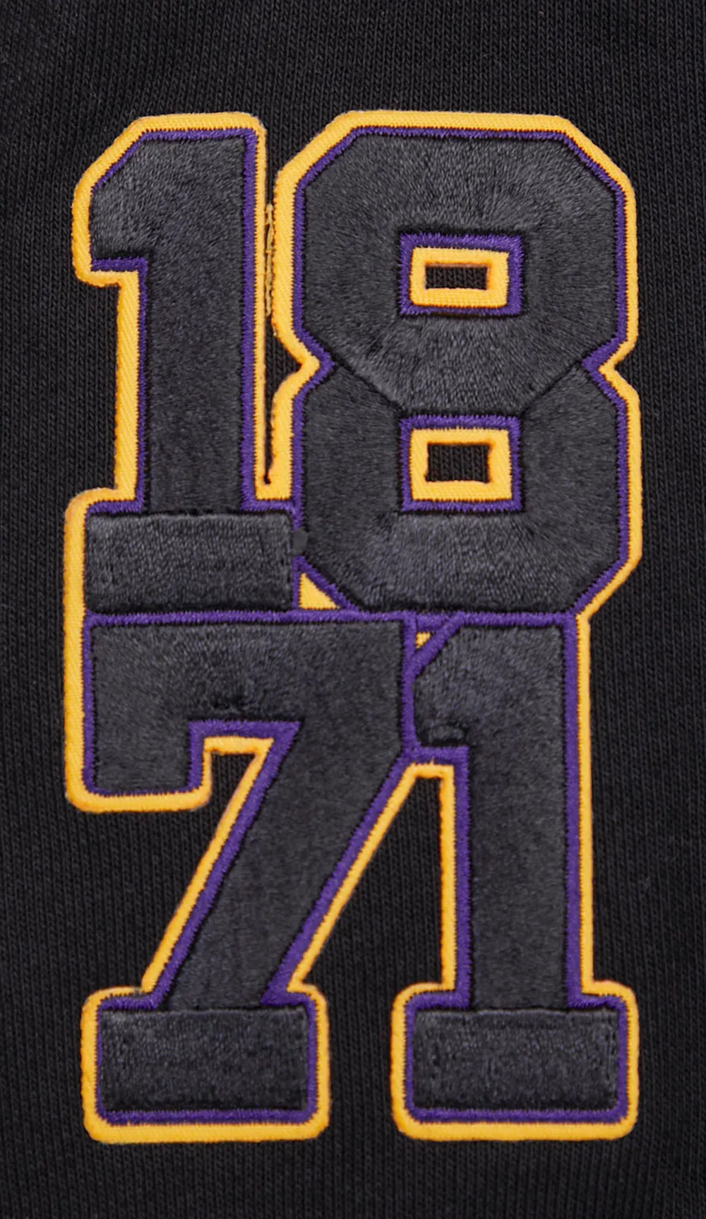 ALCORN STATE UNIVERSITY HOMECOMING RIB FLC CROPPED PO HOODIE (BLACK/PURPLE)